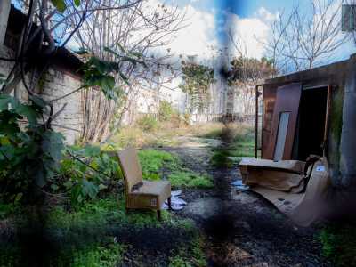 ...e, scrutando all�interno, notiamo un cortile circondato dagli alberi sul quale trova posto un piccolo prefabbricato, la cui entrata � �sorvegliata� da una sedia di paglia
